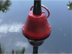 LissLonglegs Porno Video: Ring for s*x!